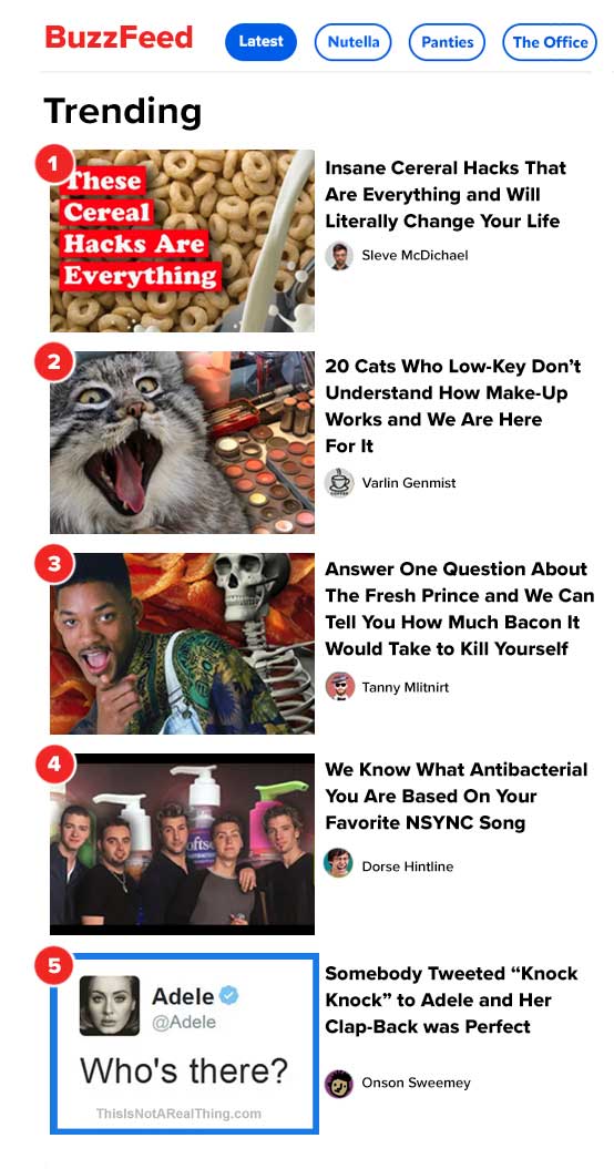 THIS IS NOT REALLY BUZZFEED